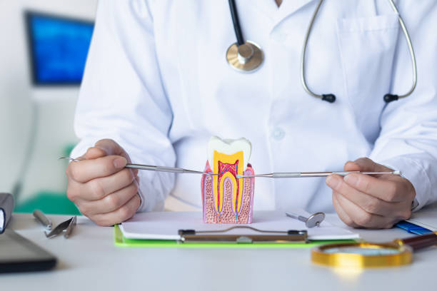 Best Emergency Gum Pain Relief  in Schaumburg, IL